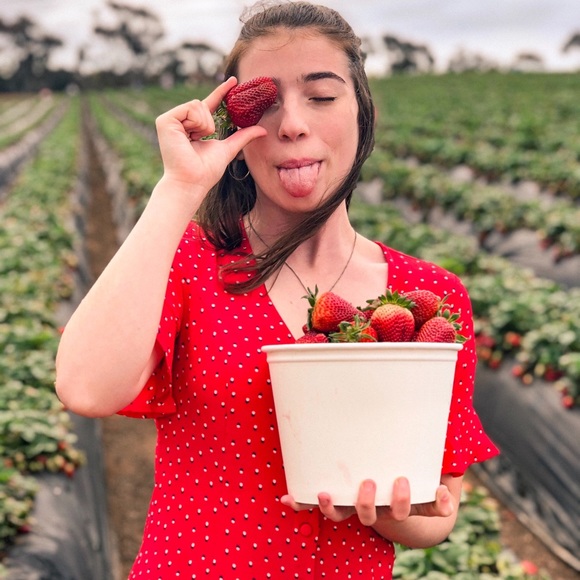 Meet your Posher, Charlie - Picture 3 of 5